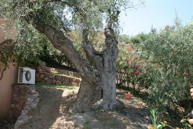 General view, Genna È Masoni, Cagliari