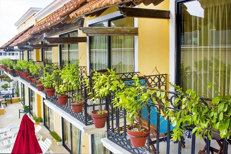 General view, Caribbean Paradise Boutique Hotel, Playa Del Carmen