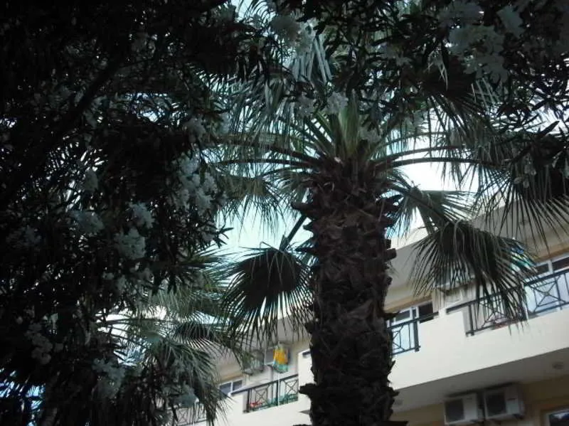 General view, Summer Memories Aparthotel, Rhodes