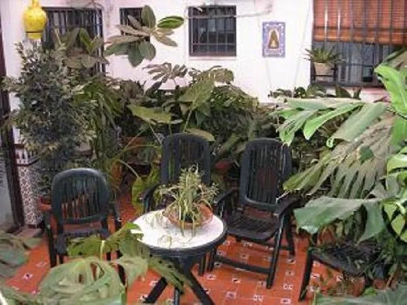 Terrace, Hostal Colon, Andalucia