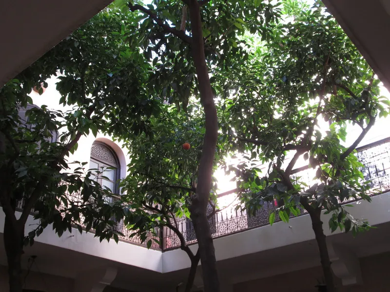 General view, Riad Dama, Marrakech