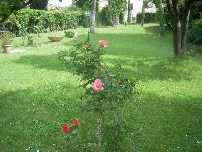 General view, Park Hotel Dei Massimi, Rome