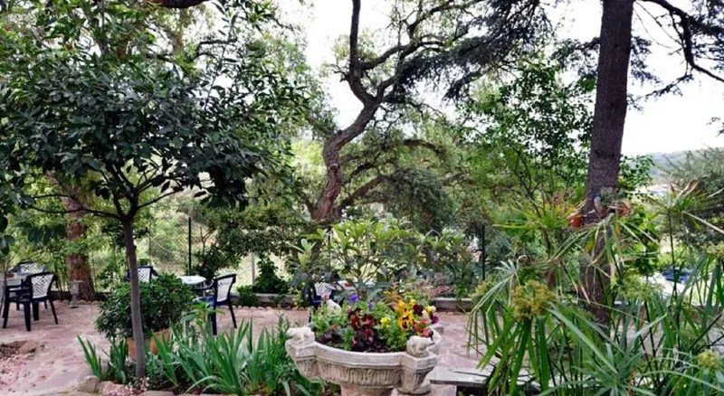 Terrace, Magnolia, Costa Brava