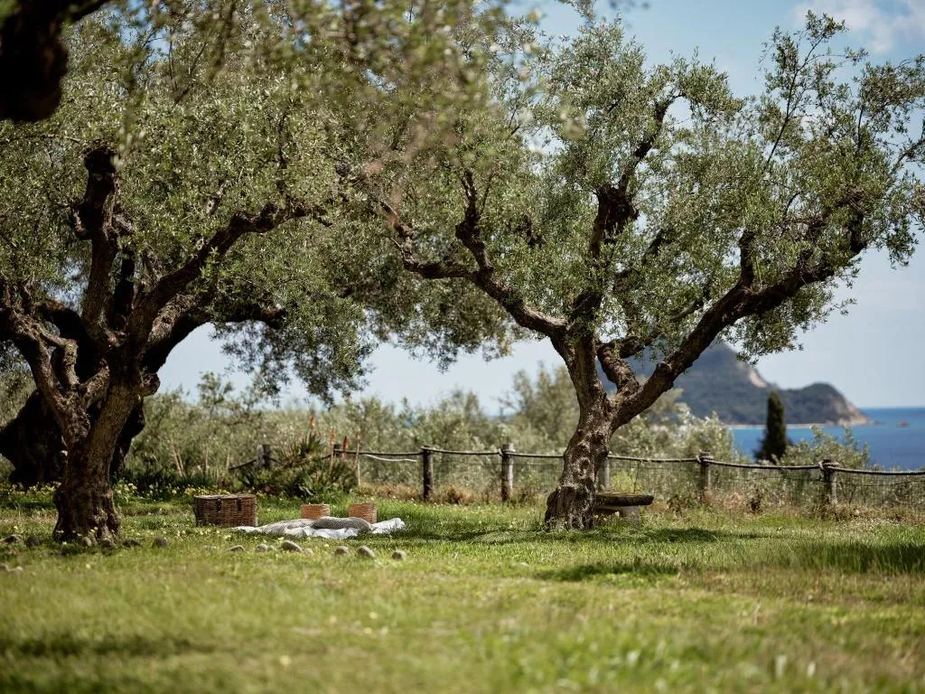 General view, Leeda's Village, Zante