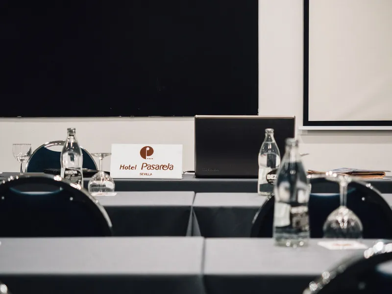 Conferences, Pasarela, Seville
