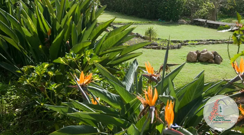 General view, Quinta Mae Dos Homens Garden Village, Madeira