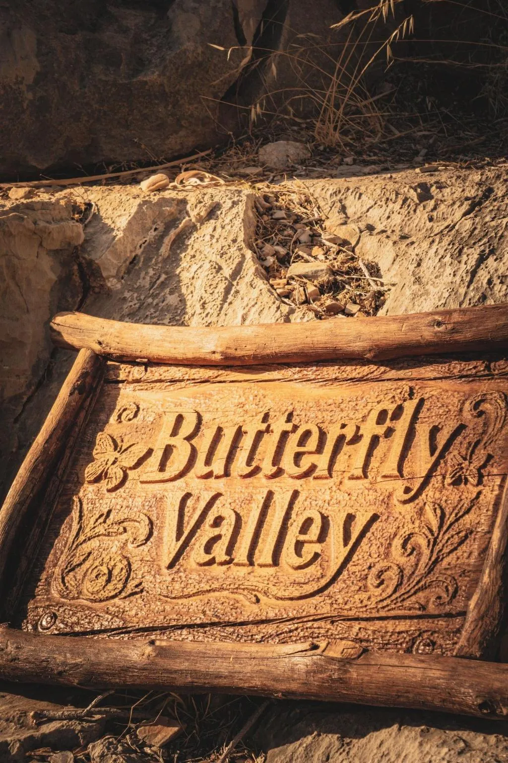 General view, Butterfly Valley Bungalov, Dalaman