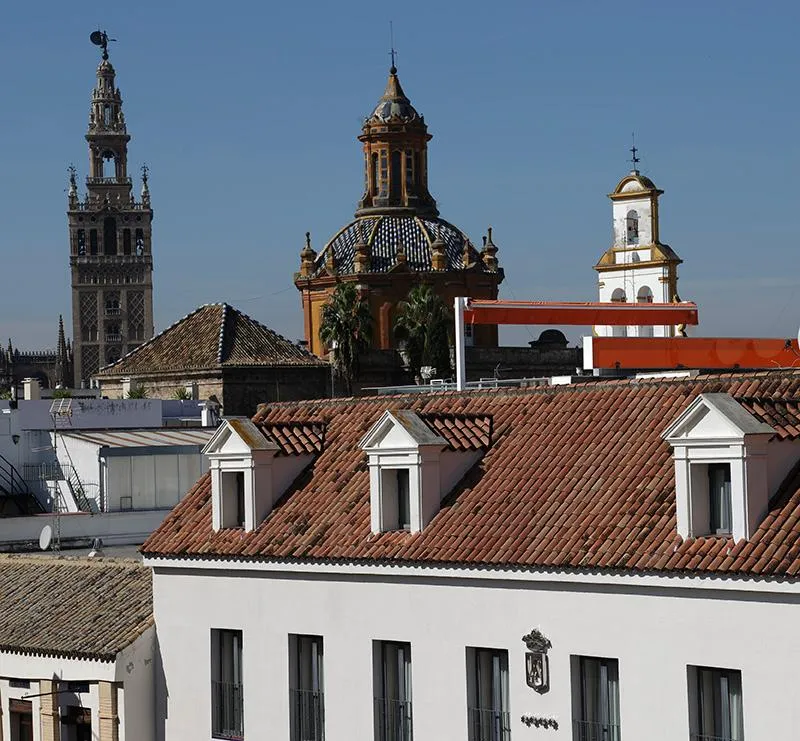 General view, Rey Alfonso X, Seville