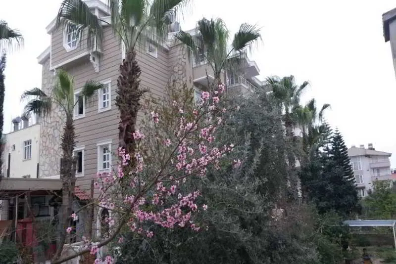 General view, Nergiz Boutique Hotel, Antalya