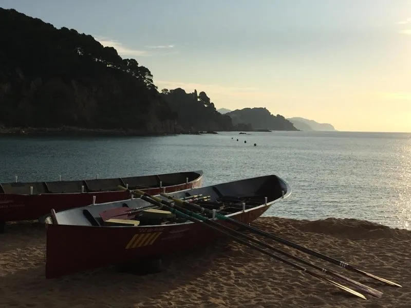 Beach, Evenia Olympic Garden, Costa Brava