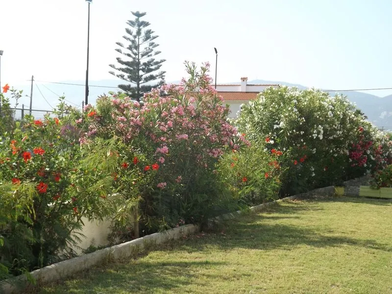 General view, Leonidas Hotel And Studios, Kos