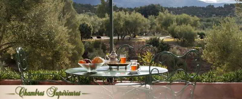 General view, Oliveraie De Marigha, Marrakech