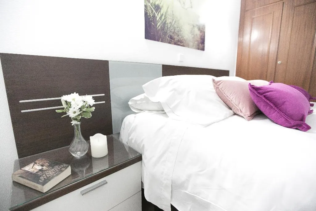 DOUBLE STANDARD Room, CH La Bañezana, Madrid