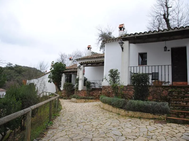 General view, Finca Valbono, Seville