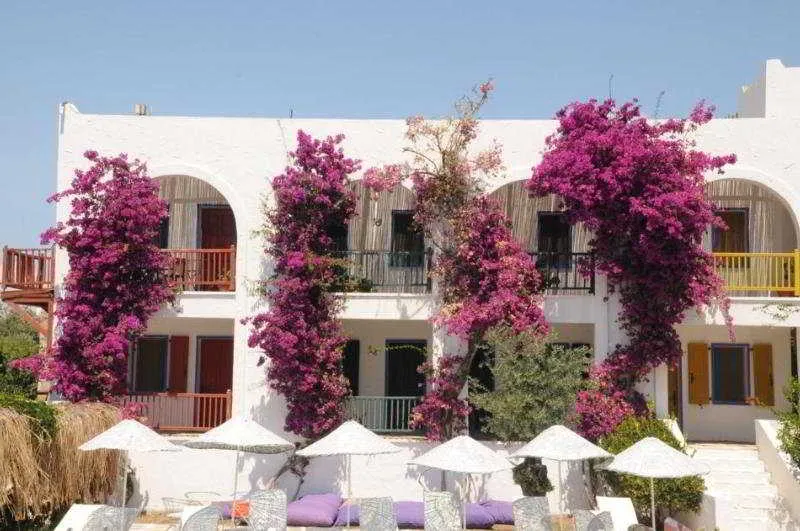 General view, Samdan, Bodrum
