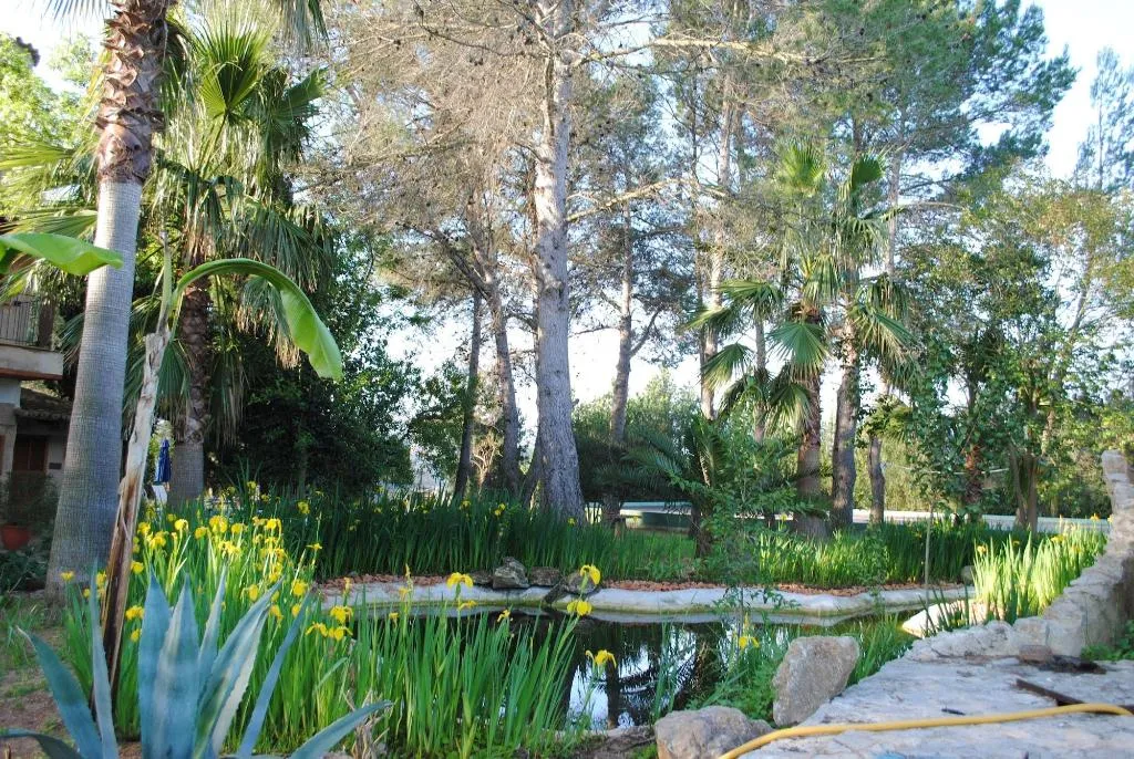 Sports and Entertainment, Weingut & Landhotel Can Davero, Majorca