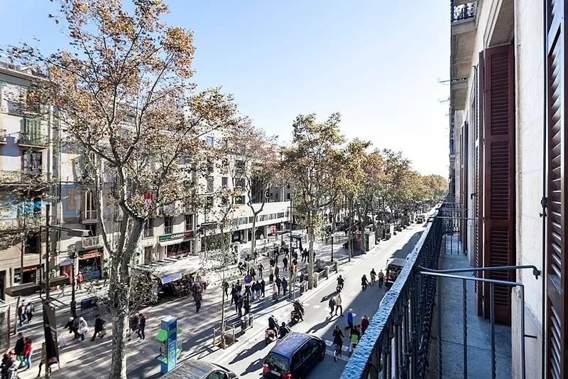 General view, Dorma Ramblas Boquería, Barcelona
