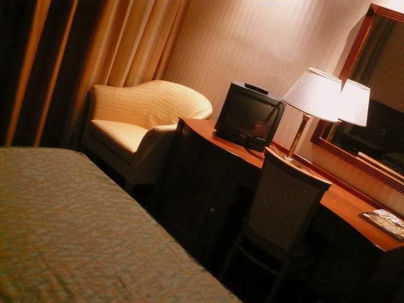 Room, Clelia Palace, Rome