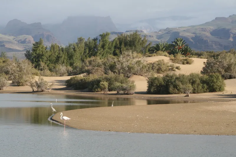 General view, El Capricho, Gran Canaria