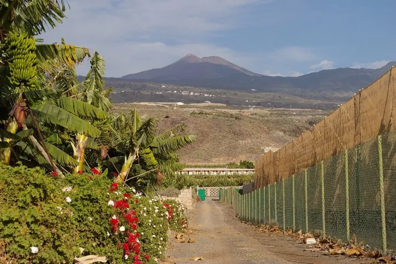 General view, El Navio - Only Adults, Tenerife