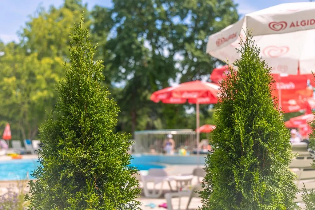 Pool, Hotel Preslav, Varna