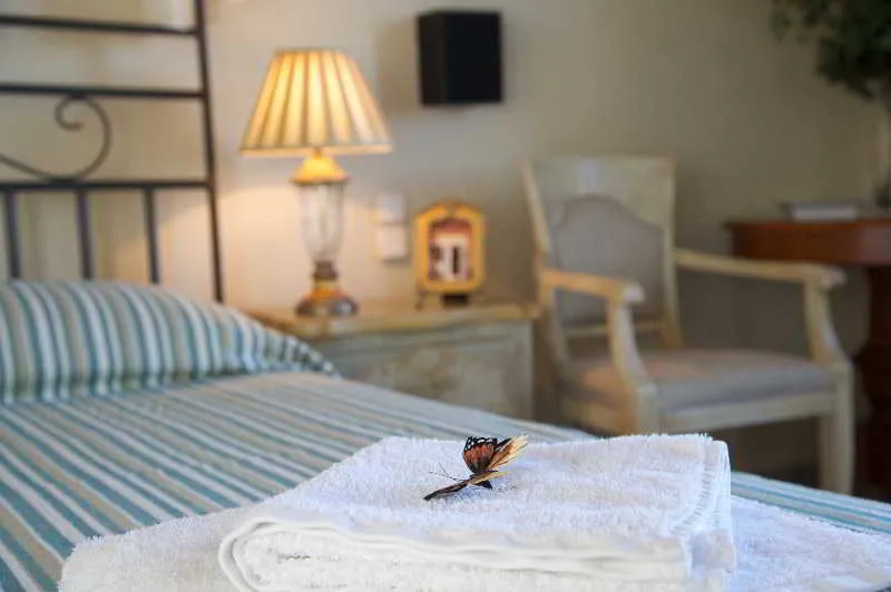 Room, Agnantia, Kefallinia