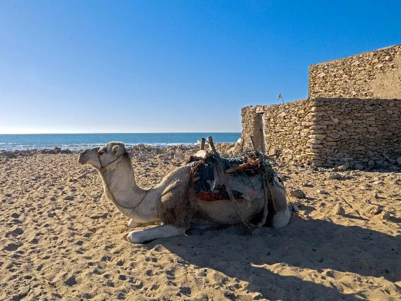 Beach, Hotel Riad Villa Maroc, Essaouira
