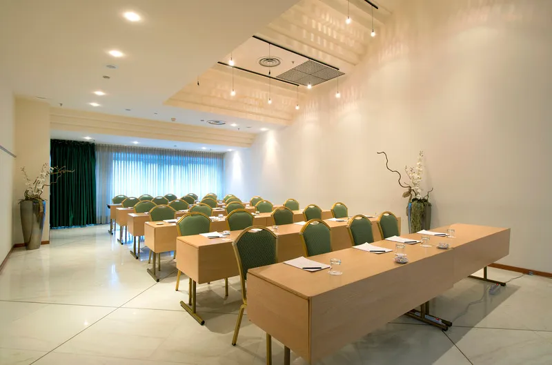 Conferences, Grand Hotel Barone Di Sassj, Milan