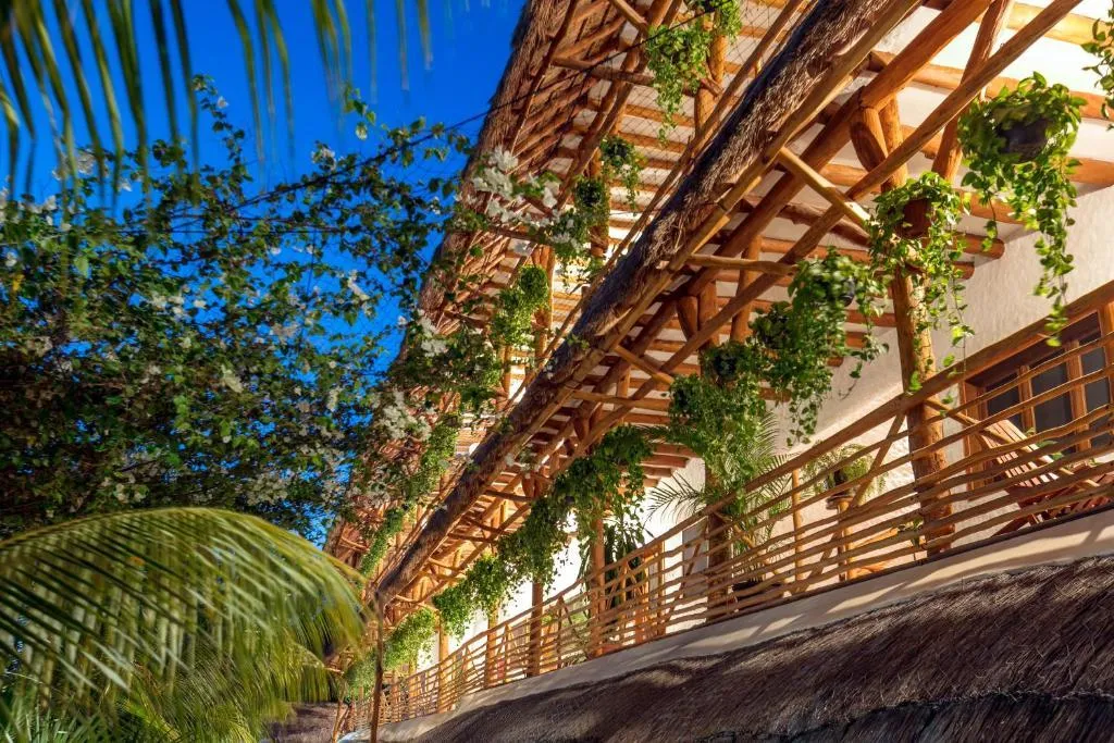General view, La Palma Holbox Wellness Suites & Apartments, Cancun Area