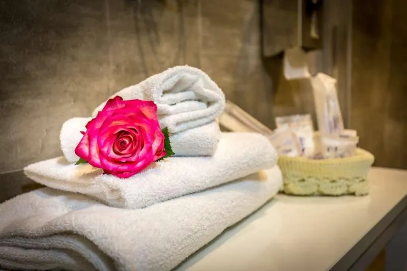 Room, Hotel La Scaletta, Florence