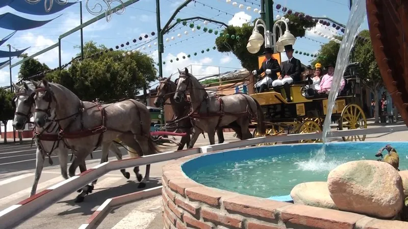 Sports and Entertainment, Hotel Romerito, Costa Del Sol