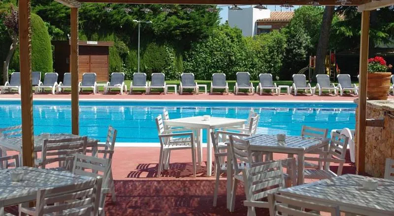 Terrace, Alga, Costa Brava