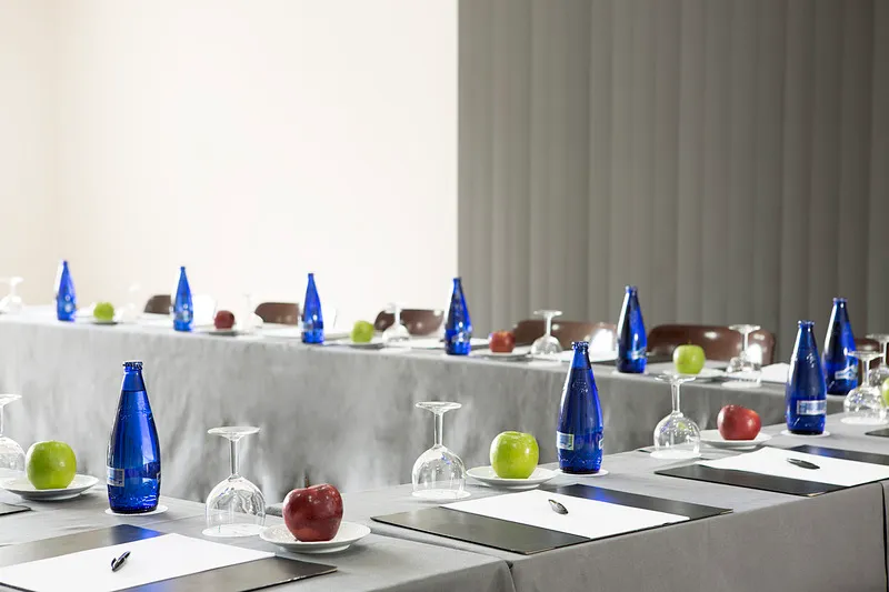 Conferences, Hotel Chamartin the One, Madrid