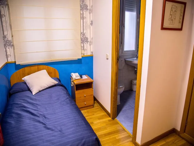 SINGLE STANDARD Room, Hostal Montaloya, Madrid