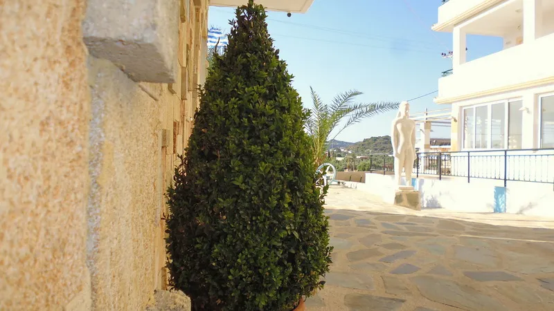 Terrace, Farkia Exclusive Studios, Rhodes