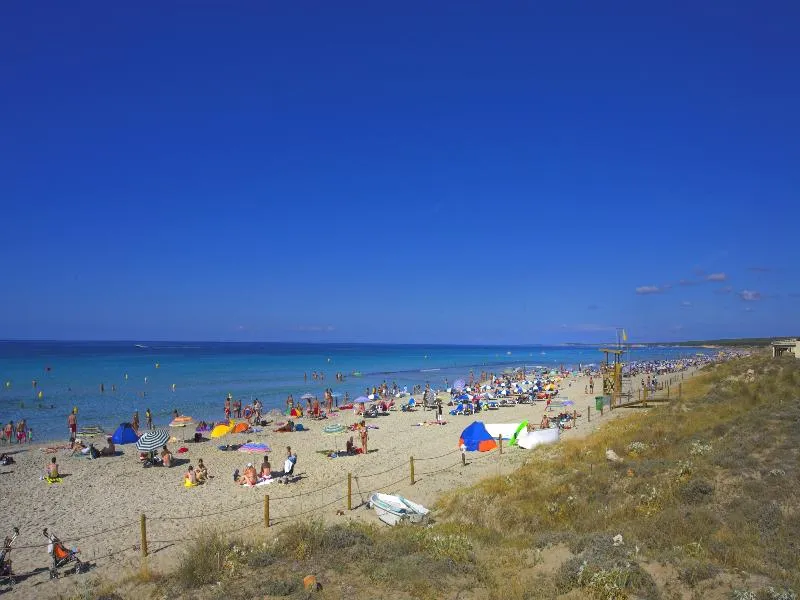 Beach, Royal Son Bou Family Club, Menorca