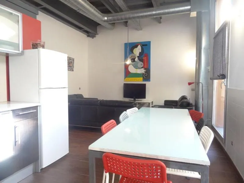 General view, City Center Apartments, Barcelona