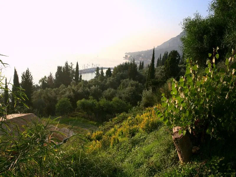 General view, Alexis Apartments Benitses, Corfu