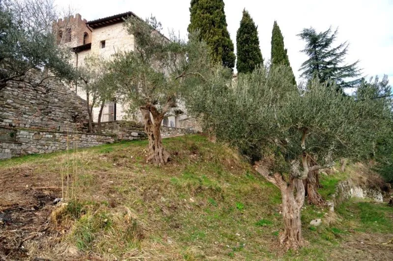 General view, Domus Ecclesiae, Perugia