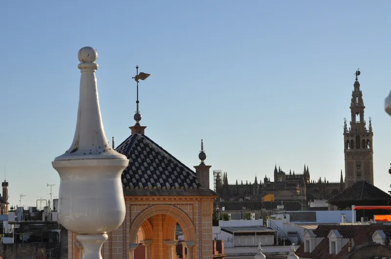 Terrace, Casas de la Juderia, Seville