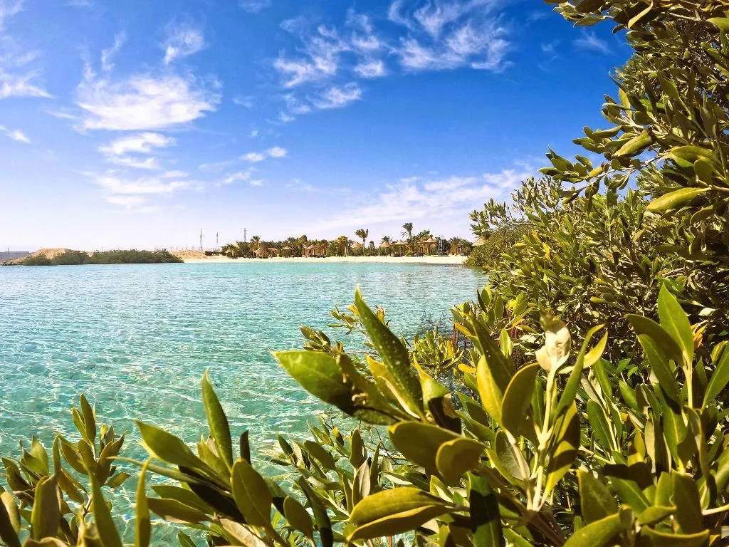General view, Mangrove Bay Resort, Red Sea Riviera
