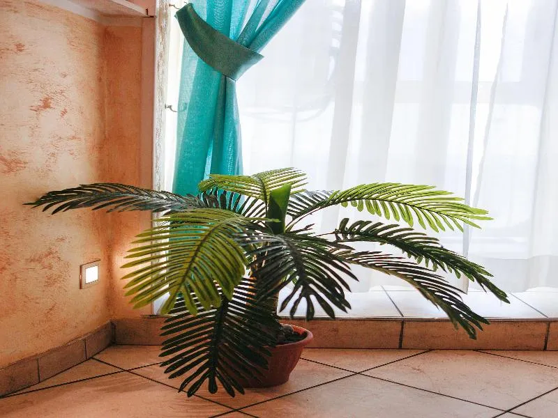 Room, Arco Romana, Milan