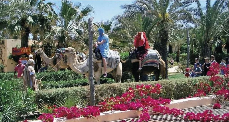 Sports and Entertainment, Oasis Marine, Tunisia