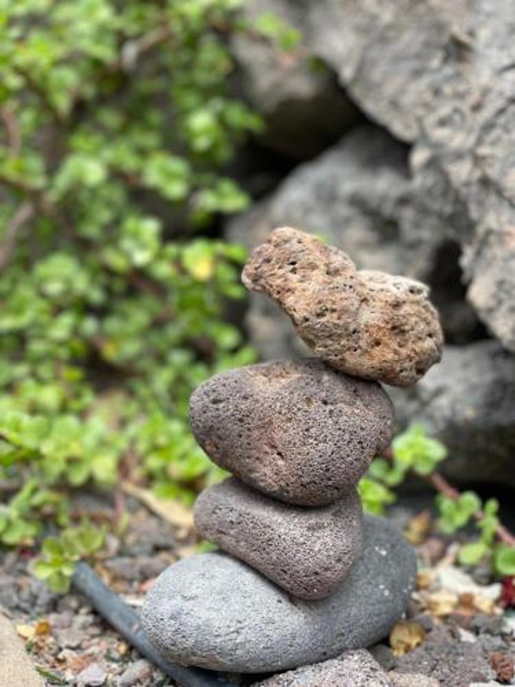 Los Tarajales, La Gomera