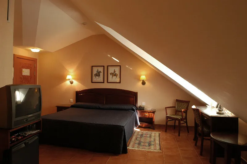 Double or Twin STANDARD Room, Hospedium Hotel Los Lanceros, Madrid