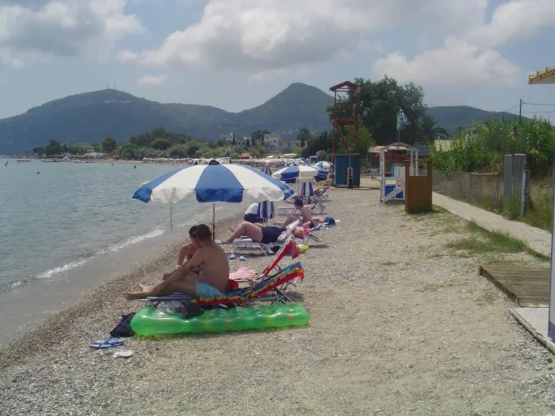 Beach, Sea Bird, Corfu