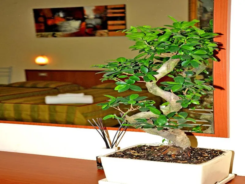Room, Hotel San Siro Fiera, Milan