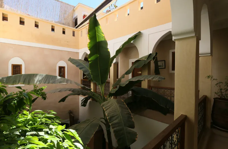 General view, Riad Sidi Mimoune, Marrakech
