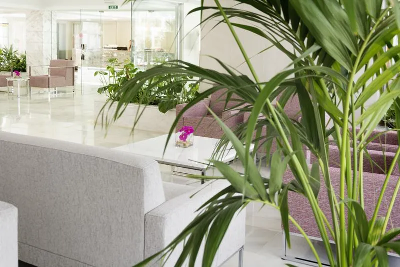 Lobby, HSM S'Olivera, Majorca