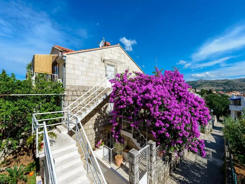 General view, Villa Tolja, Dubrovnik